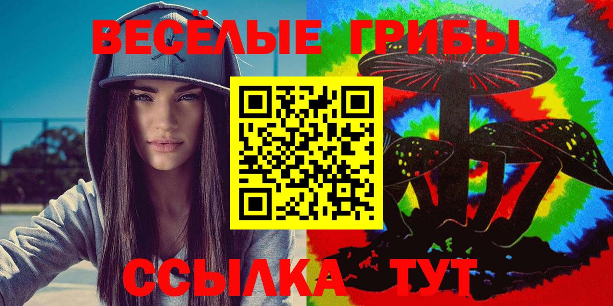 Псилоцибиновые грибы прущие грибы  Псилоцибиновые грибы GOLDEN TEACHER  Качканар  хочу наркоту  Вход с VPN 